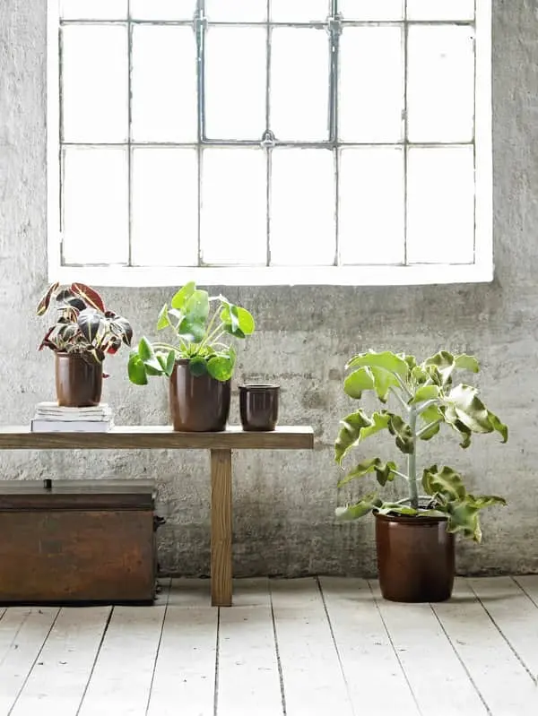 Knabstrup Keramik Syltekrukke - Billede 4