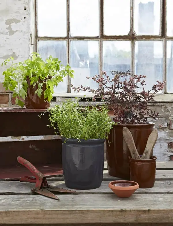 Knabstrup Keramik Syltekrukke - Billede 3