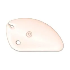 Kochblume Dejskraber