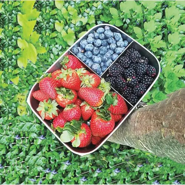 Yummii Yummii Denmark Bento Boks Large Med 3 Rum - Billede 4