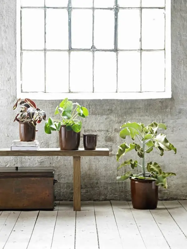 Knabstrup Keramik Syltekrukke - Billede 4