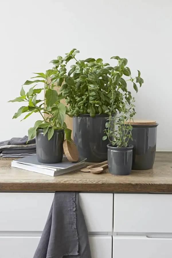 Knabstrup Keramik Korklåg - Billede 2