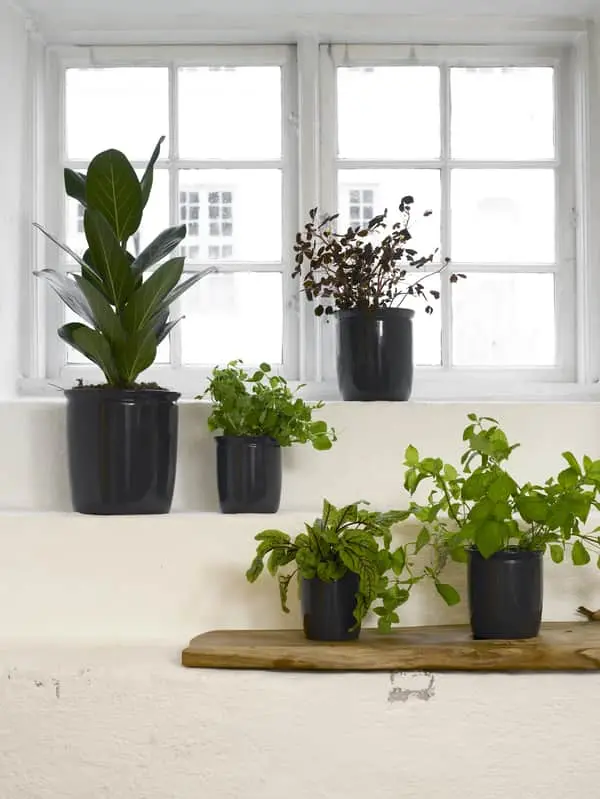 Knabstrup Keramik Syltekrukke - Billede 2